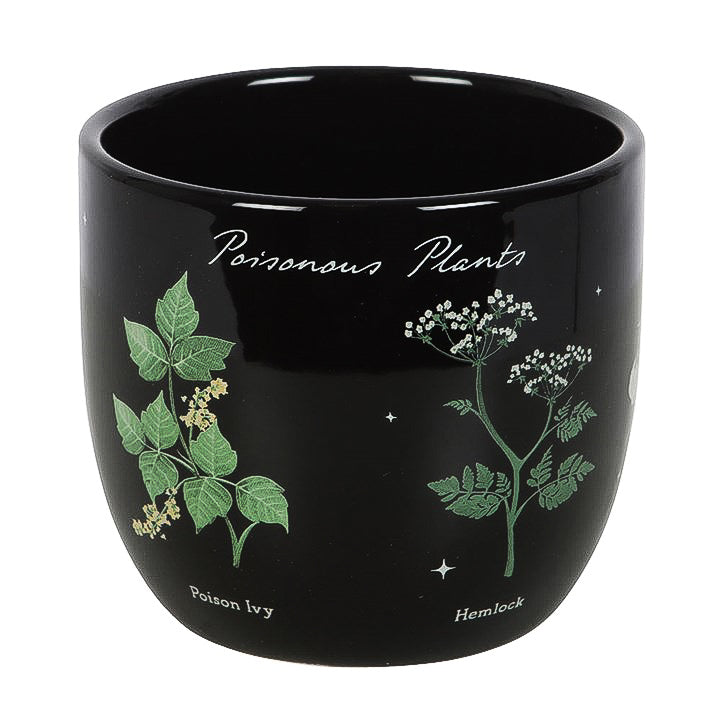 Pot de Fleurs "Plantes Toxiques"