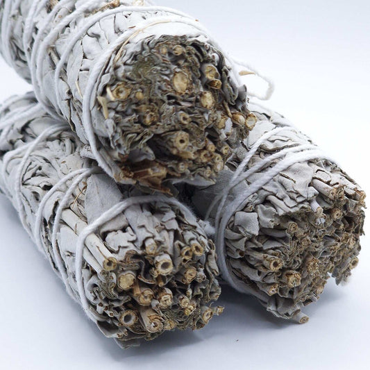 Fagot SAUGE BLANCHE DE CALIFORNIE