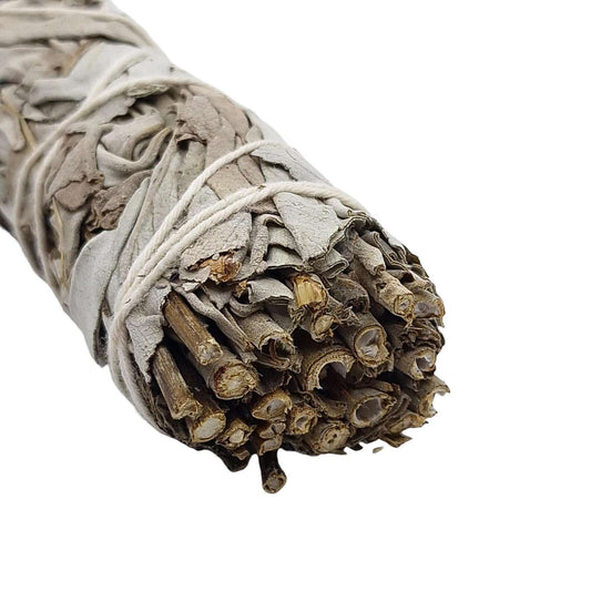 Fagot 25g SAUGE BLANCHE & MENTHE