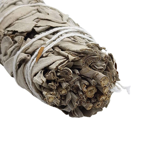 Fagot 20/25g SAUGE BLANCHE & CANNELLE