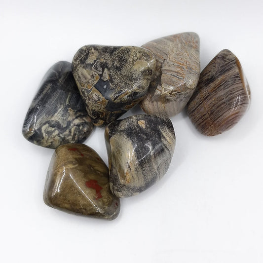 Pierre Roulée JASPE FEUILLE D'ARGENT A