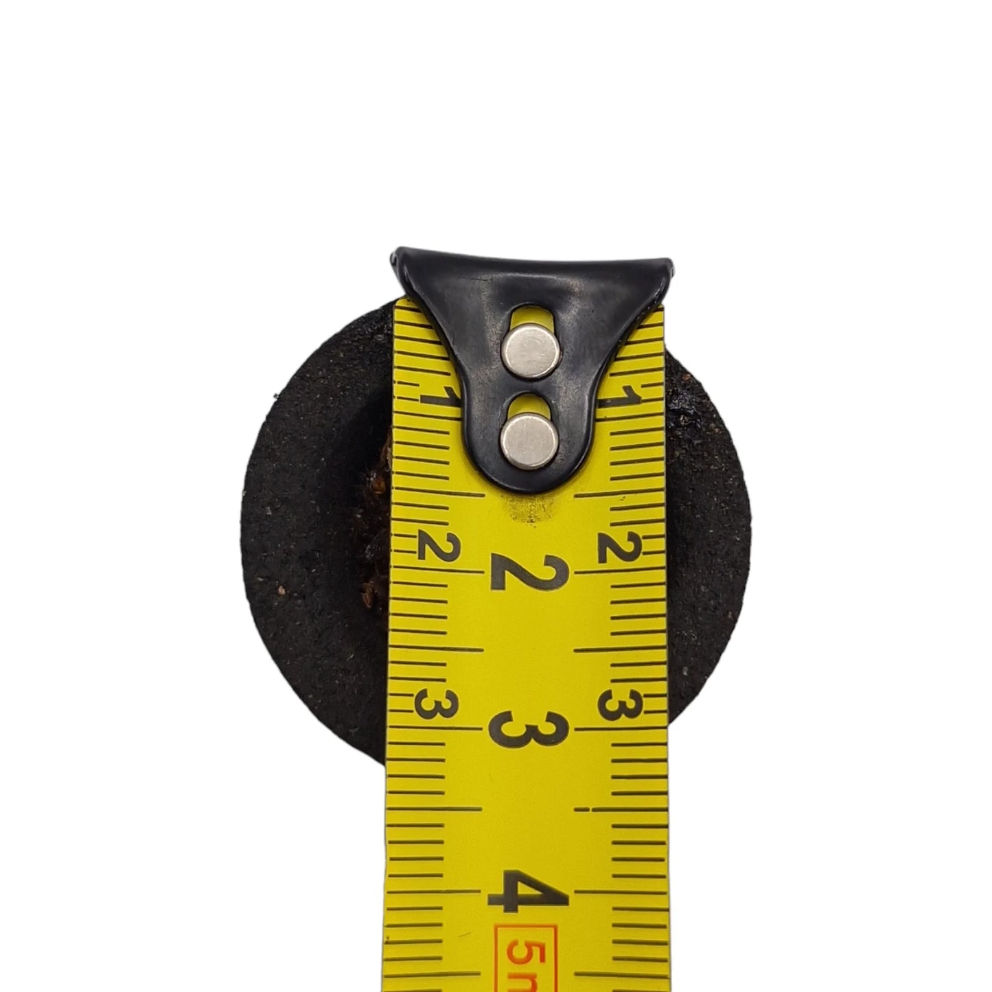 Encens Pastille Charbon avec Résine de PALO SANTO & SAUGE BLANCHE