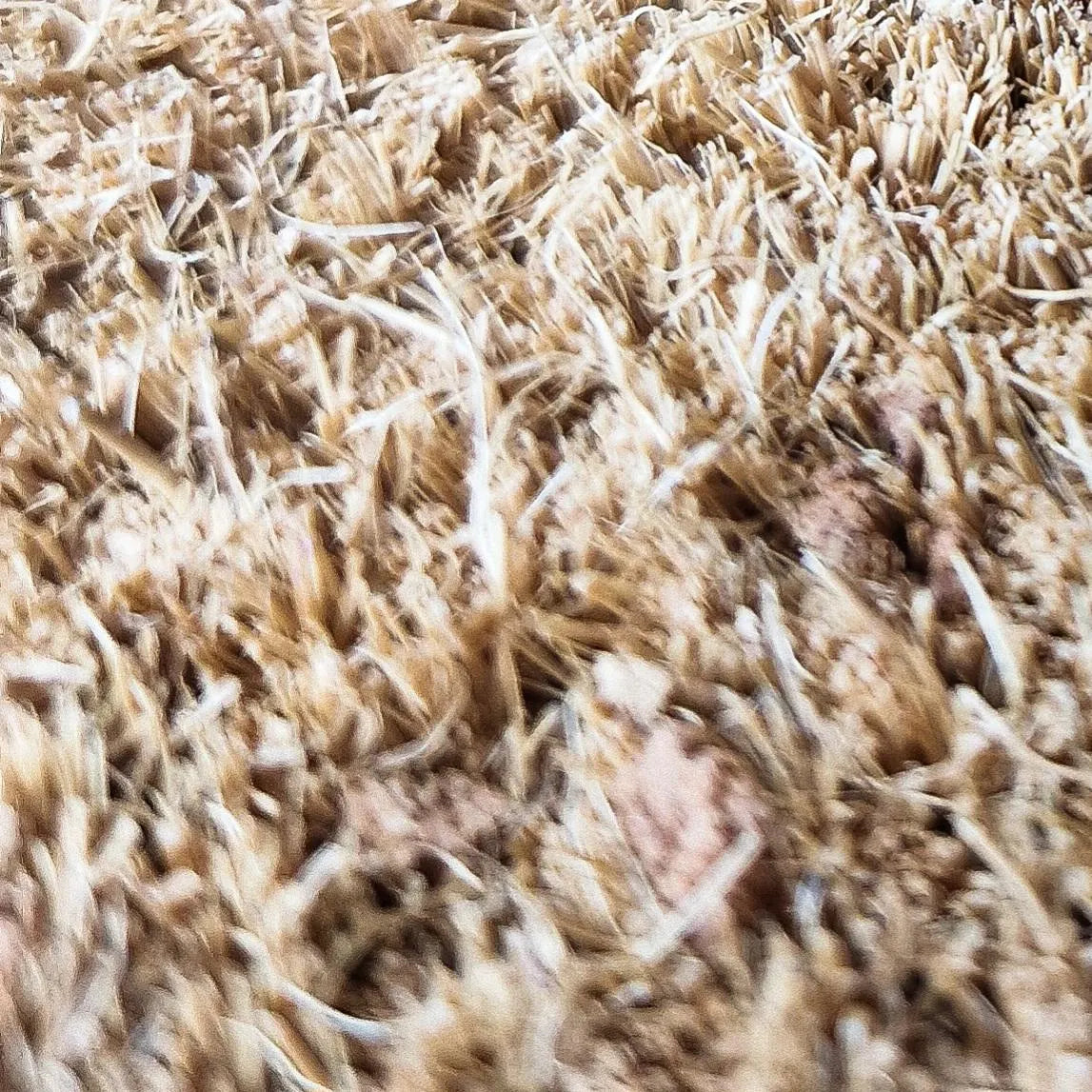 Paillasson RECHARGE HERE