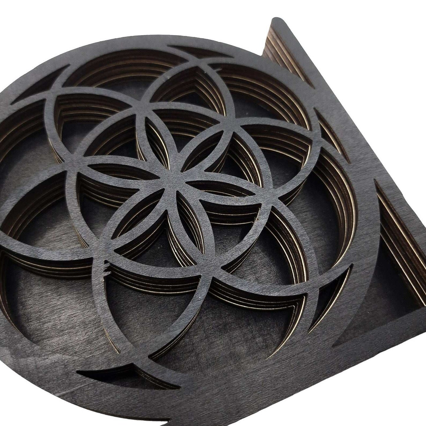 Serre Livres GRAINE DE VIE