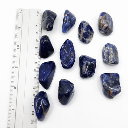 Pierre Roulée SODALITE AA