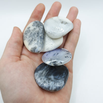 Pierre Plate AGATE DENDRITIQUE AA