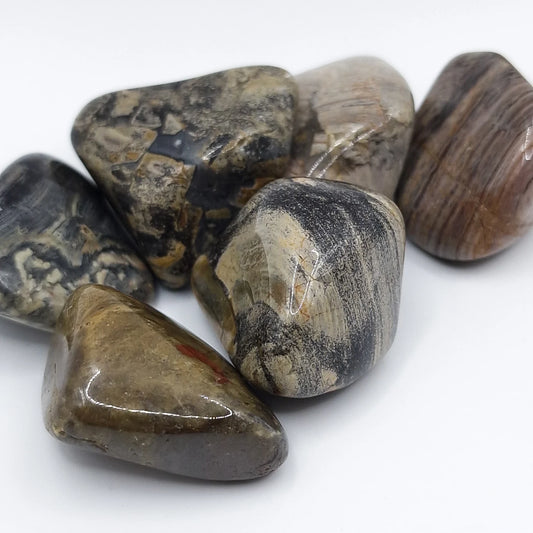 Pierre Roulée JASPE FEUILLE D'ARGENT A